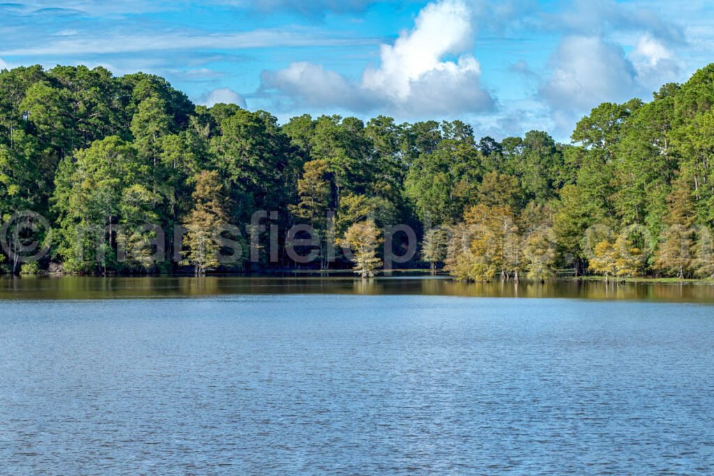 Lake Steinhagen, Texas A4-23890 - Mansfield Photography