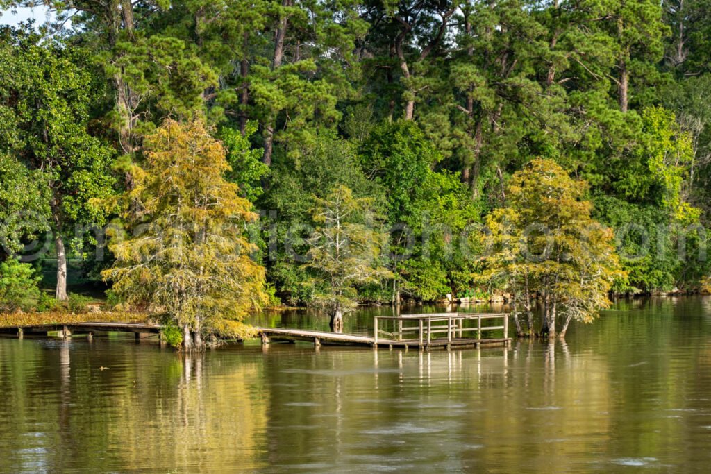 Lake Steinhagen, Texas A4-23898 - Mansfield Photography