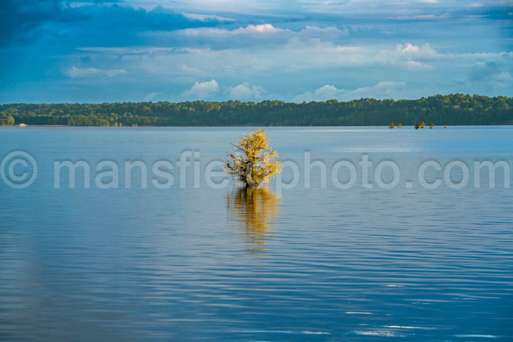 Lake Steinhagen, Texas A4-23925 - Mansfield Photography