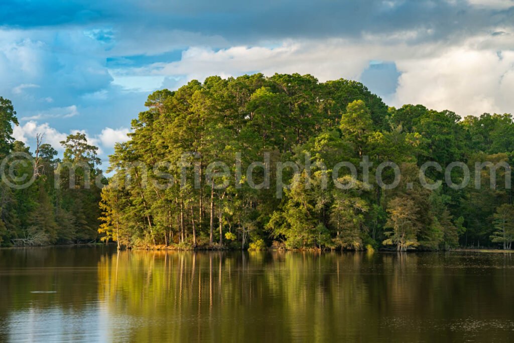 Lake Steinhagen, Texas A4-23928 - Mansfield Photography