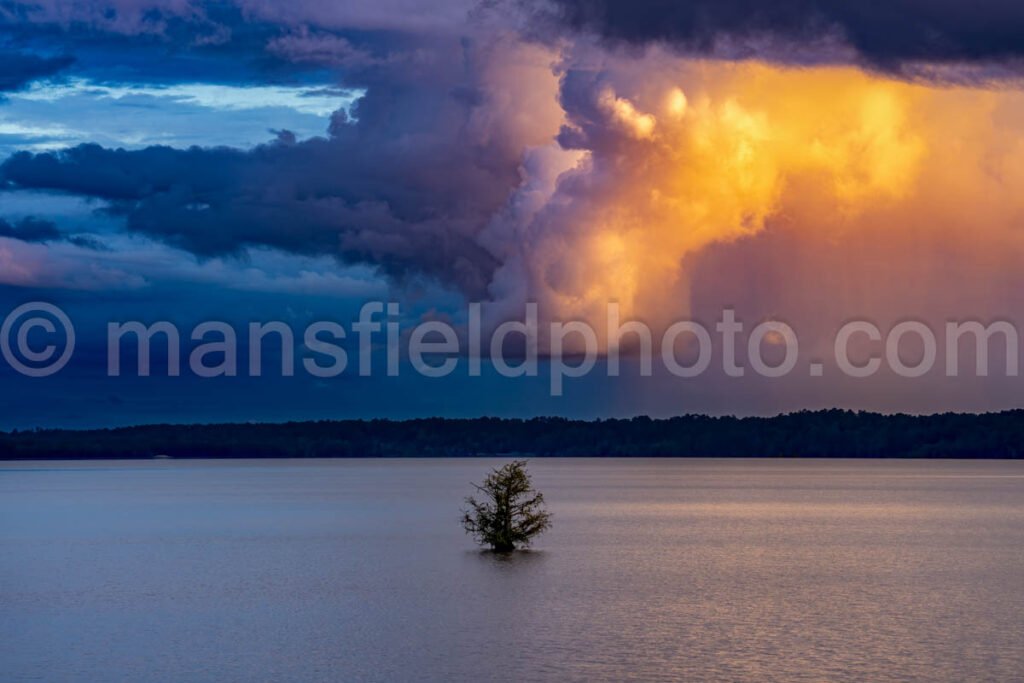 Lake Steinhagen, Texas A4-23930 - Mansfield Photography