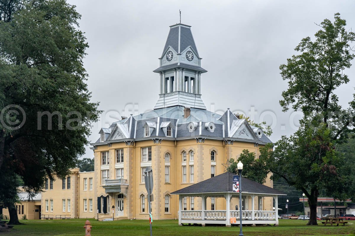 Newton, Texas, Newton County Courthouse A4-23939