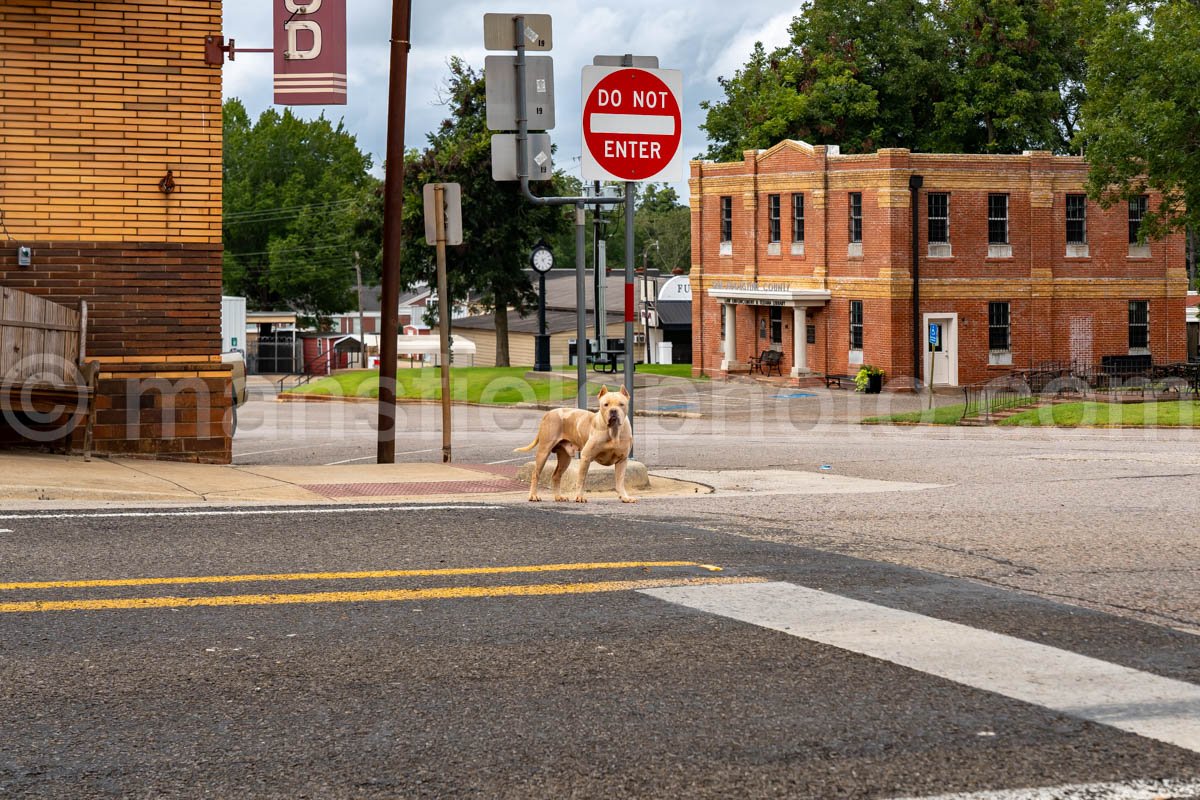 San Augustine, Texas A4-23986