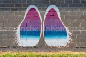Malakoff, Texas A4-24297 - Mansfield Photography