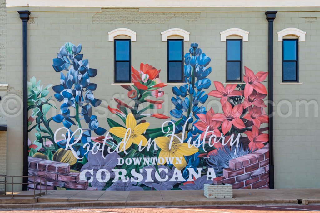 Corsicana, Texas A4-24313 - Mansfield Photography