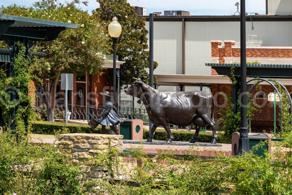 Brenham, Texas, Bluebell Creamery A4-24424 - Mansfield Photography