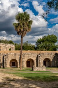 Mission Concepcion, San Antonio, Texas A4-24643 - Mansfield Photography