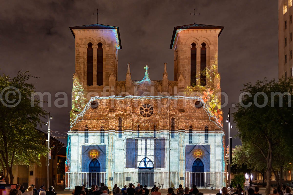 San Fernando Cathedral In San Antonio, Texas A4-24742