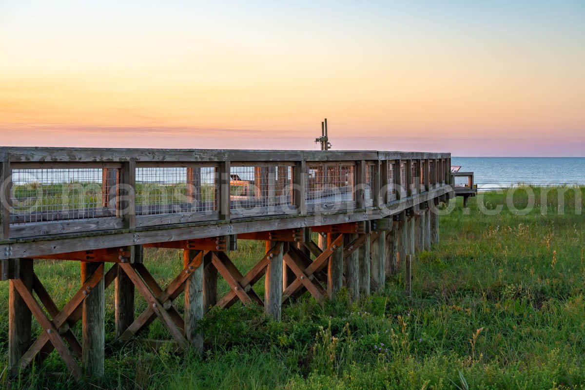 Sea Rim State Park, Texas A4-25243