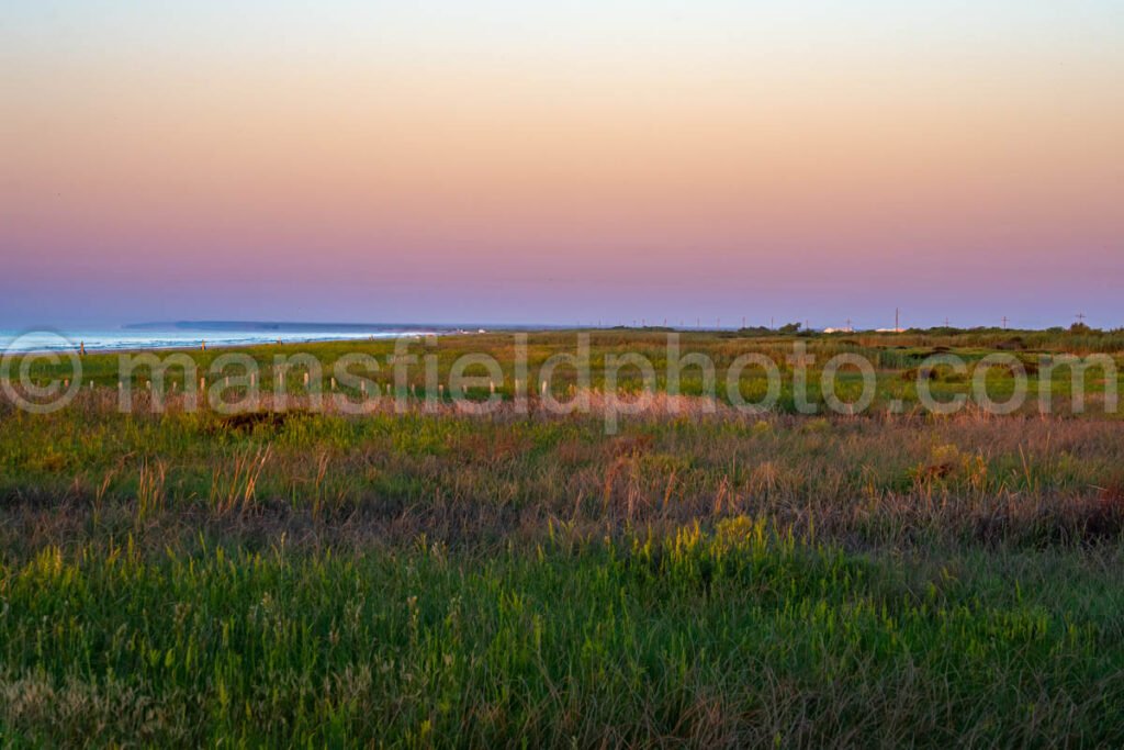 Sea Rim State Park, Texas A4-25245 - Mansfield Photography