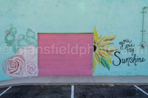 Alvord, Texas A4-25686 - Mansfield Photography