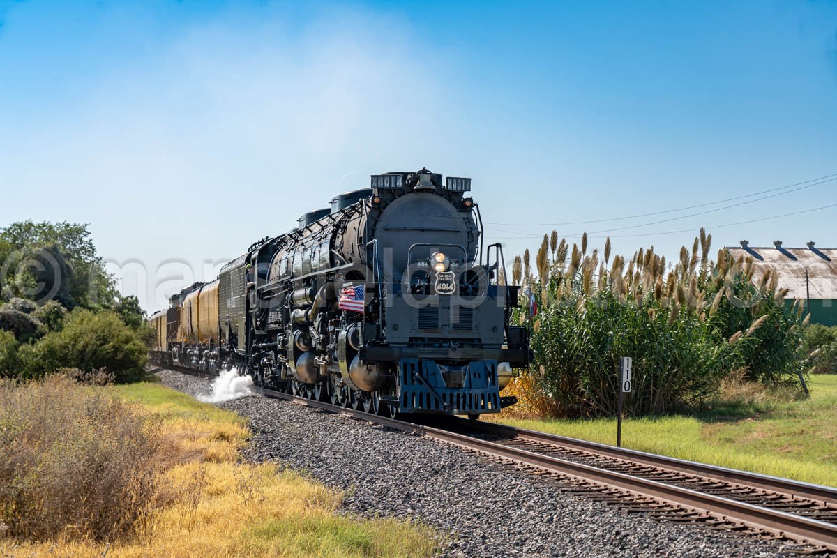 Big Boy No 4014 Union Pacific Steam Locomotive In Texas A4-25737