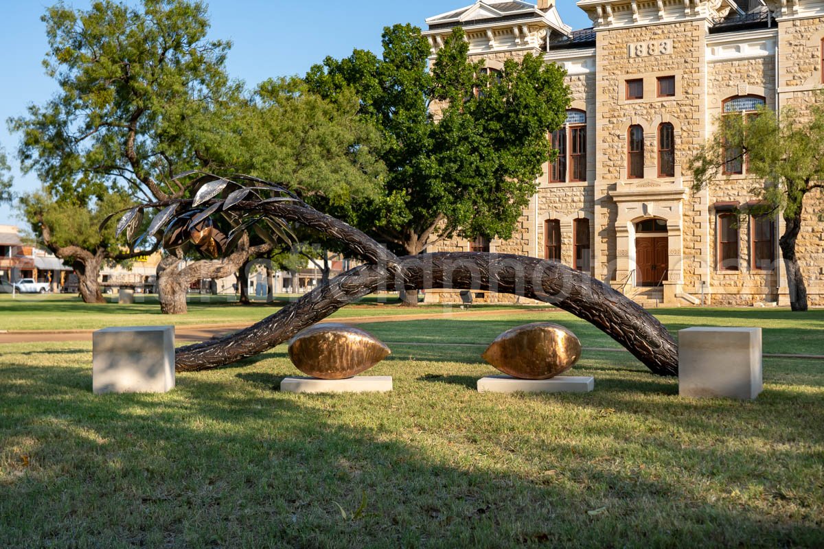 Albany, Texas, Shackelford County Courthouse A4-25784