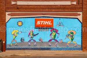 Spur, Texas A4-25955 - Mansfield Photography