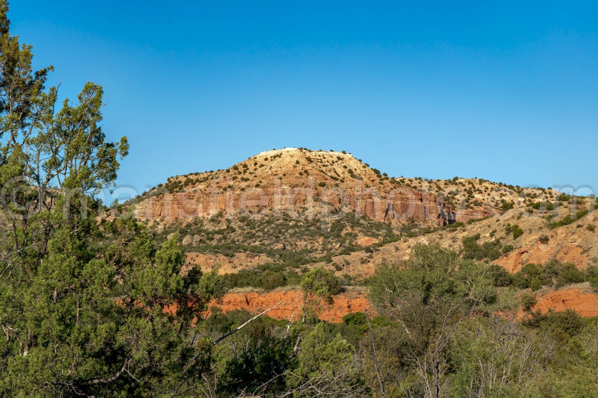 Deer in Palo Duro Canyon, Texas A4-26029