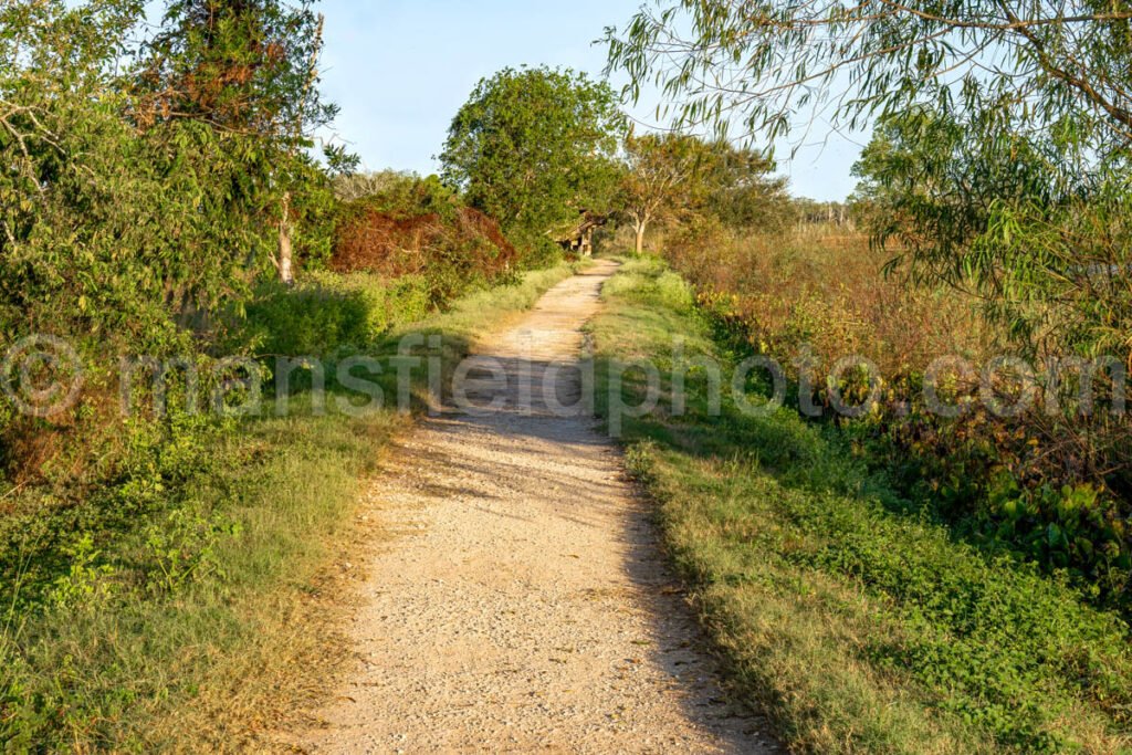 Brazos Bend State Park A4-26358 - Mansfield Photography