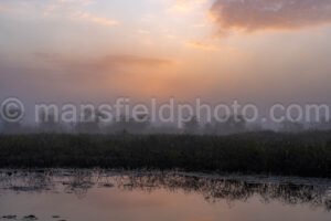 Morning on the Lake in Brazos Bend A4-26438 - Mansfield Photography