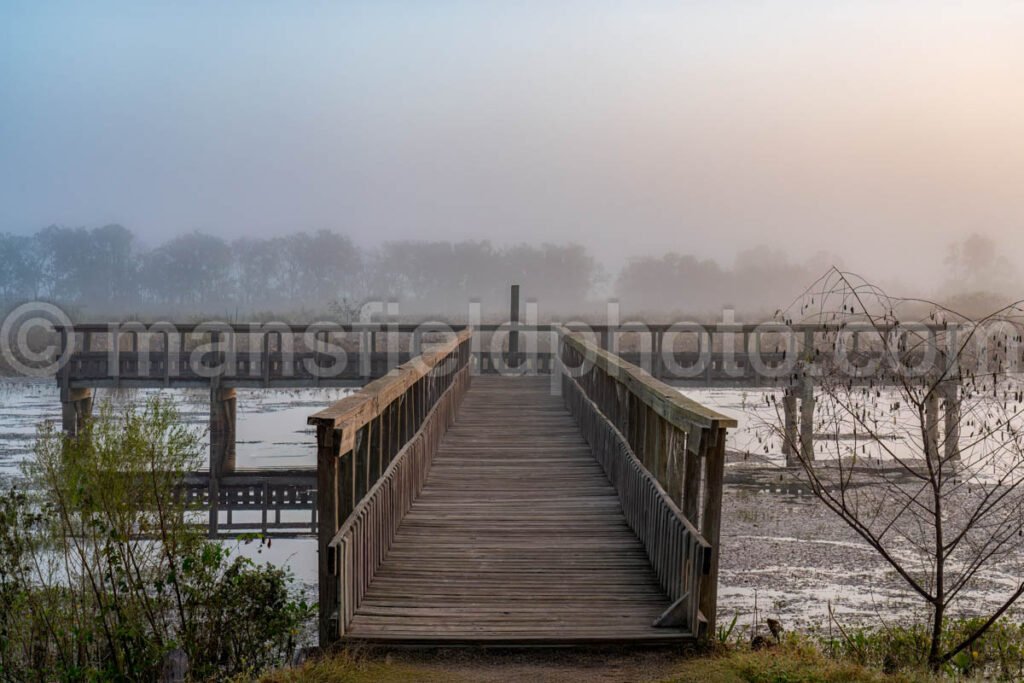 Pier In Brazos Bend State Park A4-26469 - Mansfield Photography