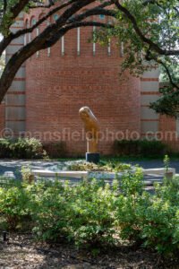 Rice University, Houston, Texas A4-26585 - Mansfield Photography