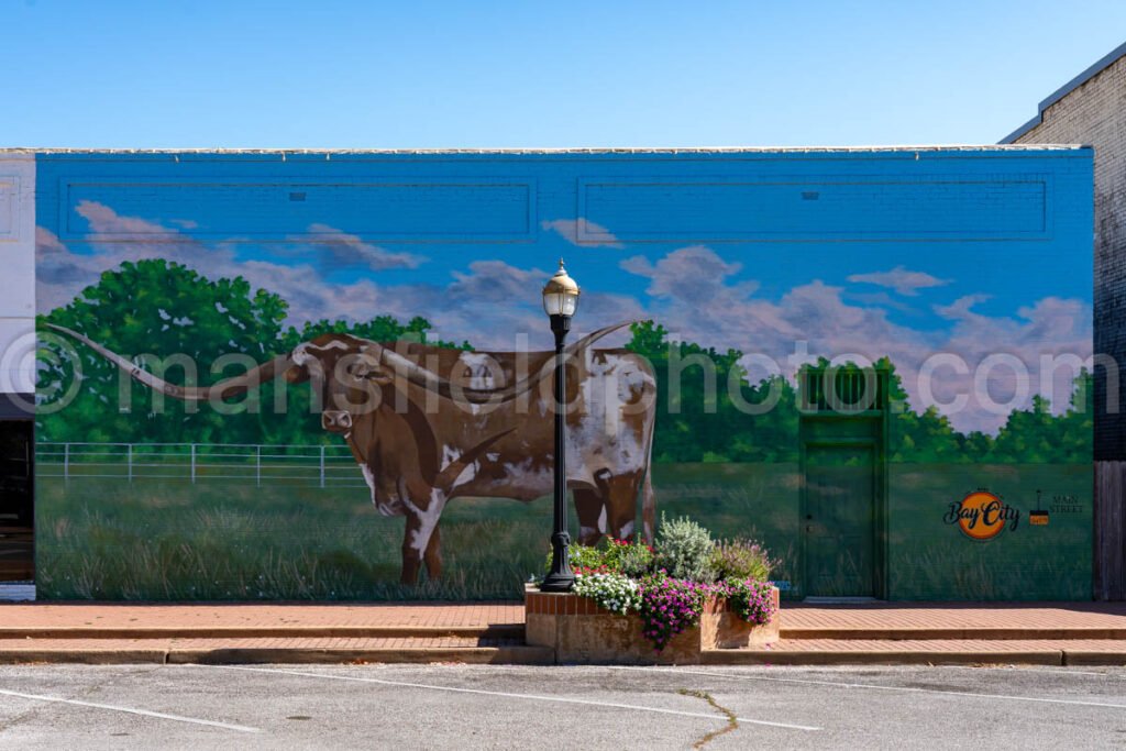 Bay City, Texas A4-26859 - Mansfield Photography