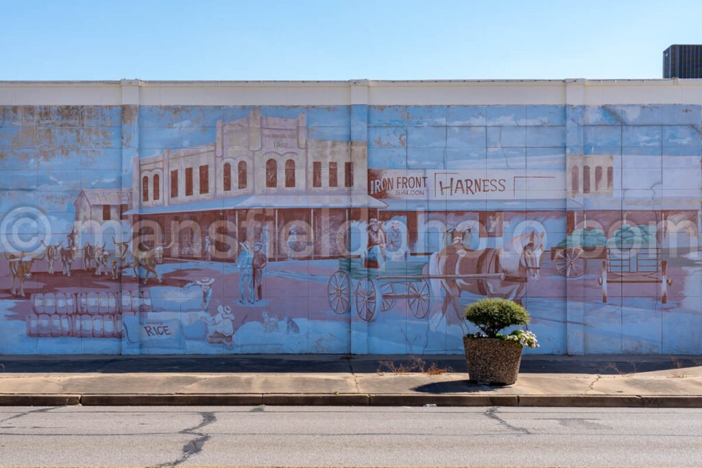 El Campo, Texas A4-26883 - Mansfield Photography