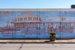 El Campo, Texas A4-26883 - Mansfield Photography