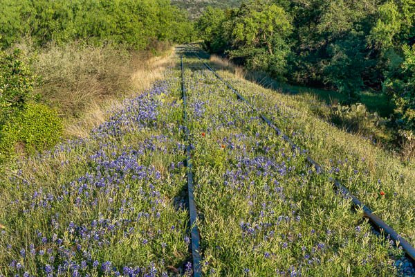 Bluebonnet Railroad