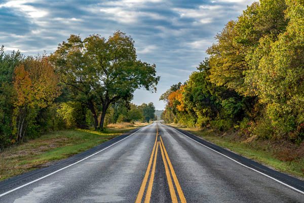 Road and Autumn View