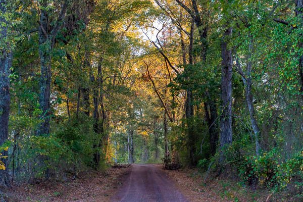 Road in Marshall, Texas