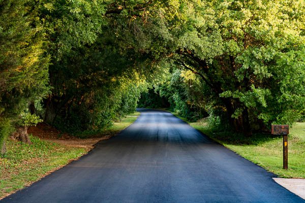 Road and Trees, Mansfield, TX