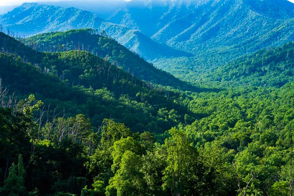 Smoky Mountains