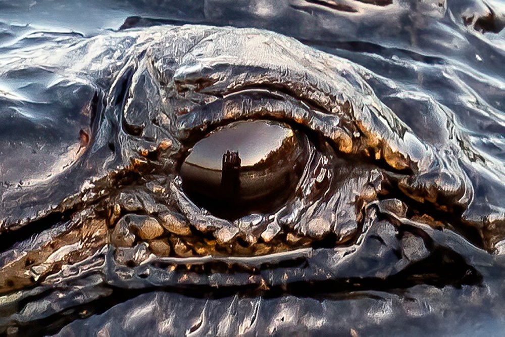 The Eye Of The Beholder - That's Me Standing On The Pier!