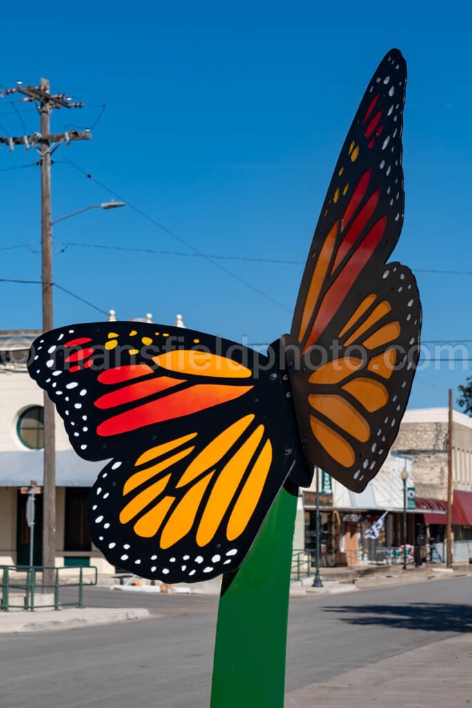 Lampasas, Texas A4-26993 - Mansfield Photography