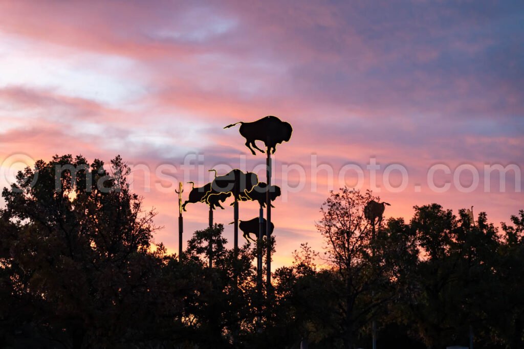 Abilene, Texas A4-27603 - Mansfield Photography