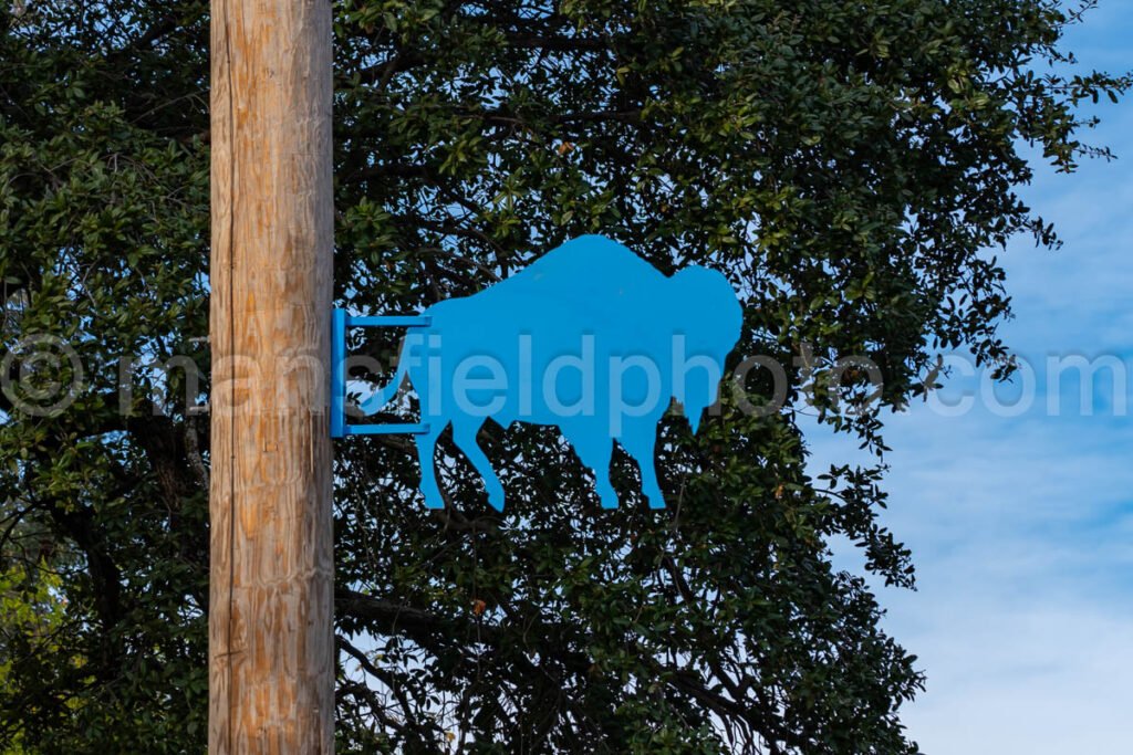 Buffalo Gap, Texas A4-27673 - Mansfield Photography