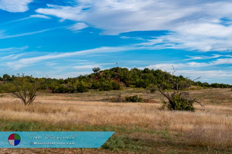 Field and Hill in Buffalo Gap