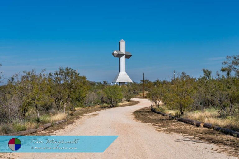 The Cross
