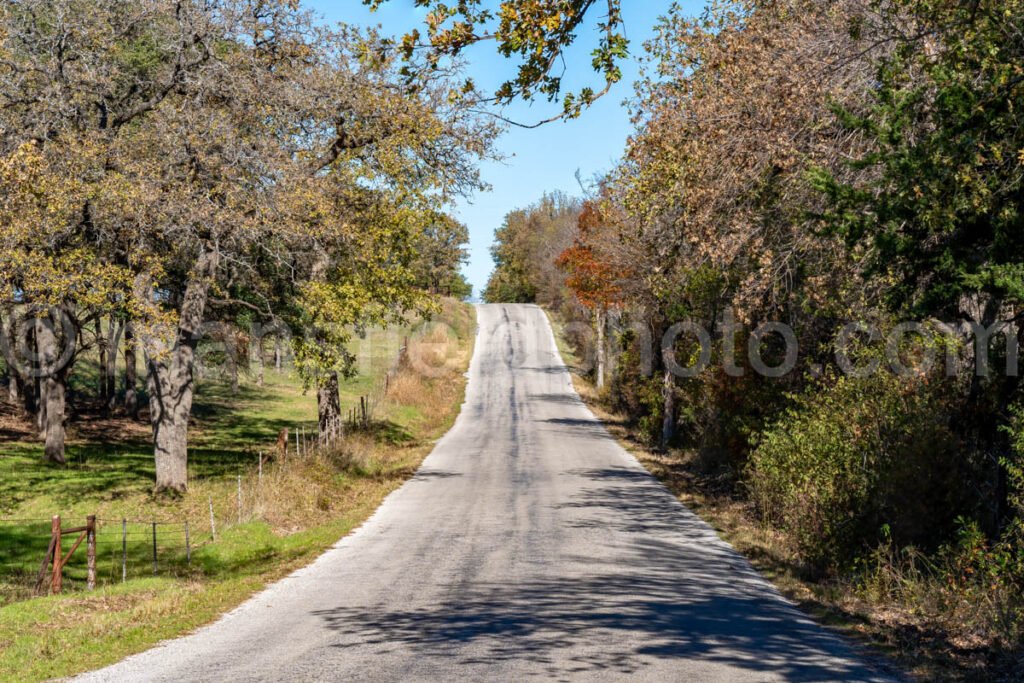 Road and Trees A4-28020 - Mansfield Photography