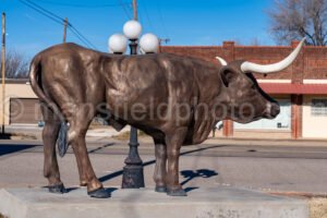 Bull Statue in Miami, Texas A4-28544 - Mansfield Photography