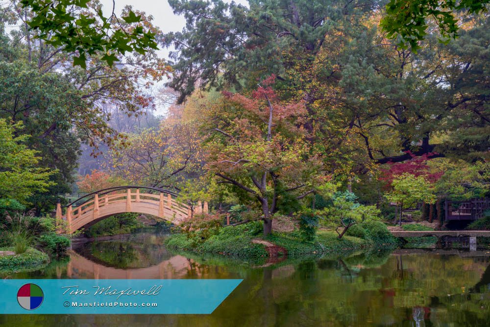 Fort Worth Botanic Garden - Japanese Garden