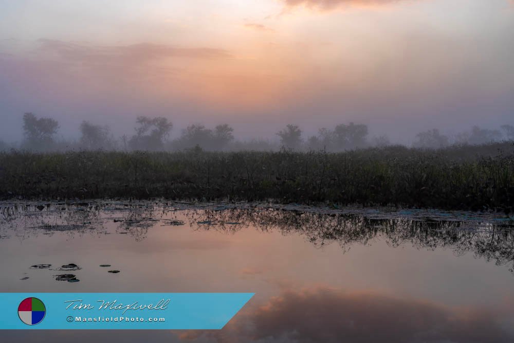 Morning on the Lake in Brazos Bend