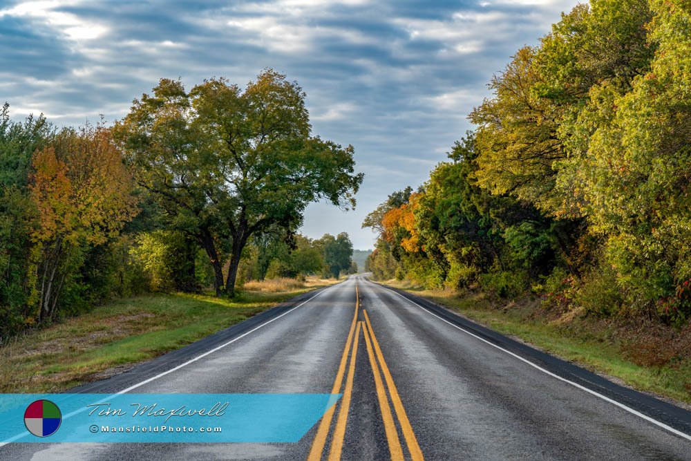 Road and Autumn View