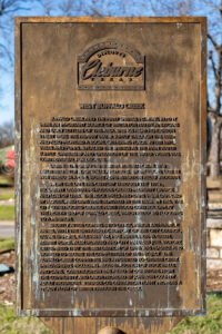Buffalo In Cleburne, Texas A4-28869 - Mansfield Photography