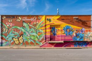 Mural In Fort Worth, Texas A4-29038 - Mansfield Photography