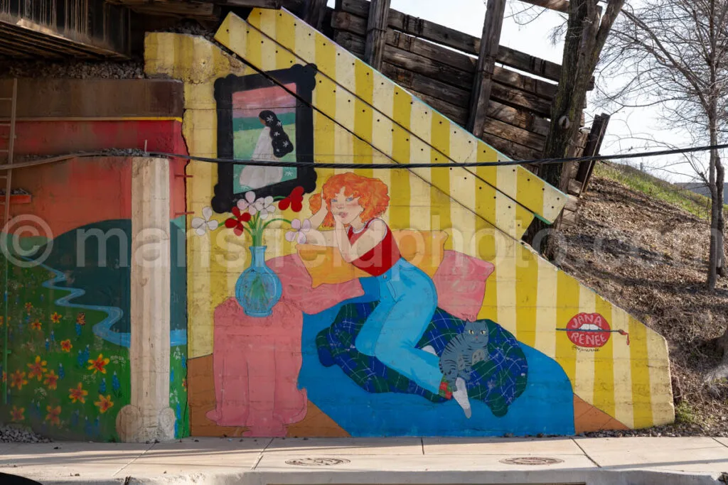 Mural in Fort Worth, Texas A4-29039 - Mansfield Photography