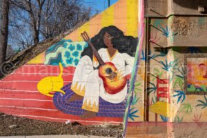 Mural In Fort Worth, Texas A4-29041 - Mansfield Photography