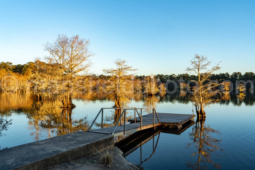 Near Sandy Creek at Lake Steinhagen, Texas A4-29378 - Mansfield Photography