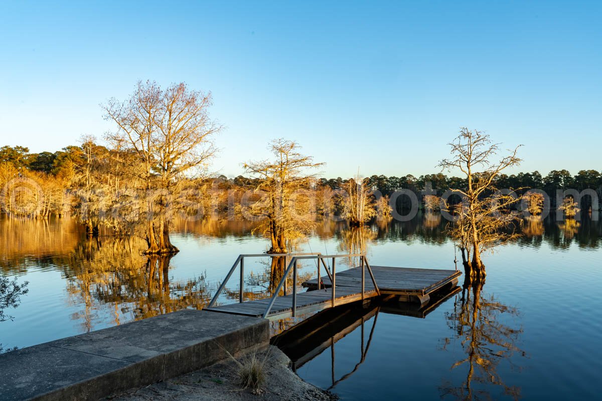 Near Sandy Creek at Lake Steinhagen, Texas A4-29378