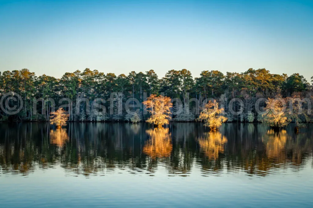 Near Sandy Creek at Lake Steinhagen, Texas A4-29384 - Mansfield Photography