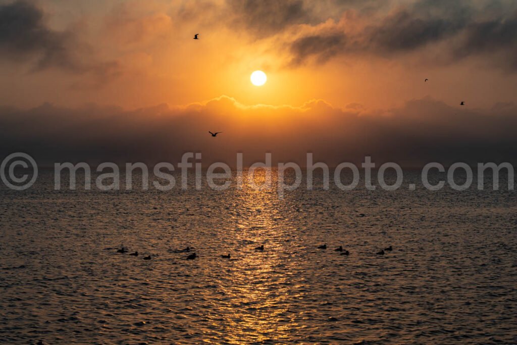 Sunset in South Padre Island, Texas A4-29691 - Mansfield Photography